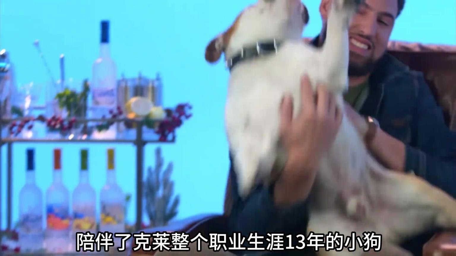 陪伴克萊13年的小狗去世了，不敢相信克萊得多么傷心